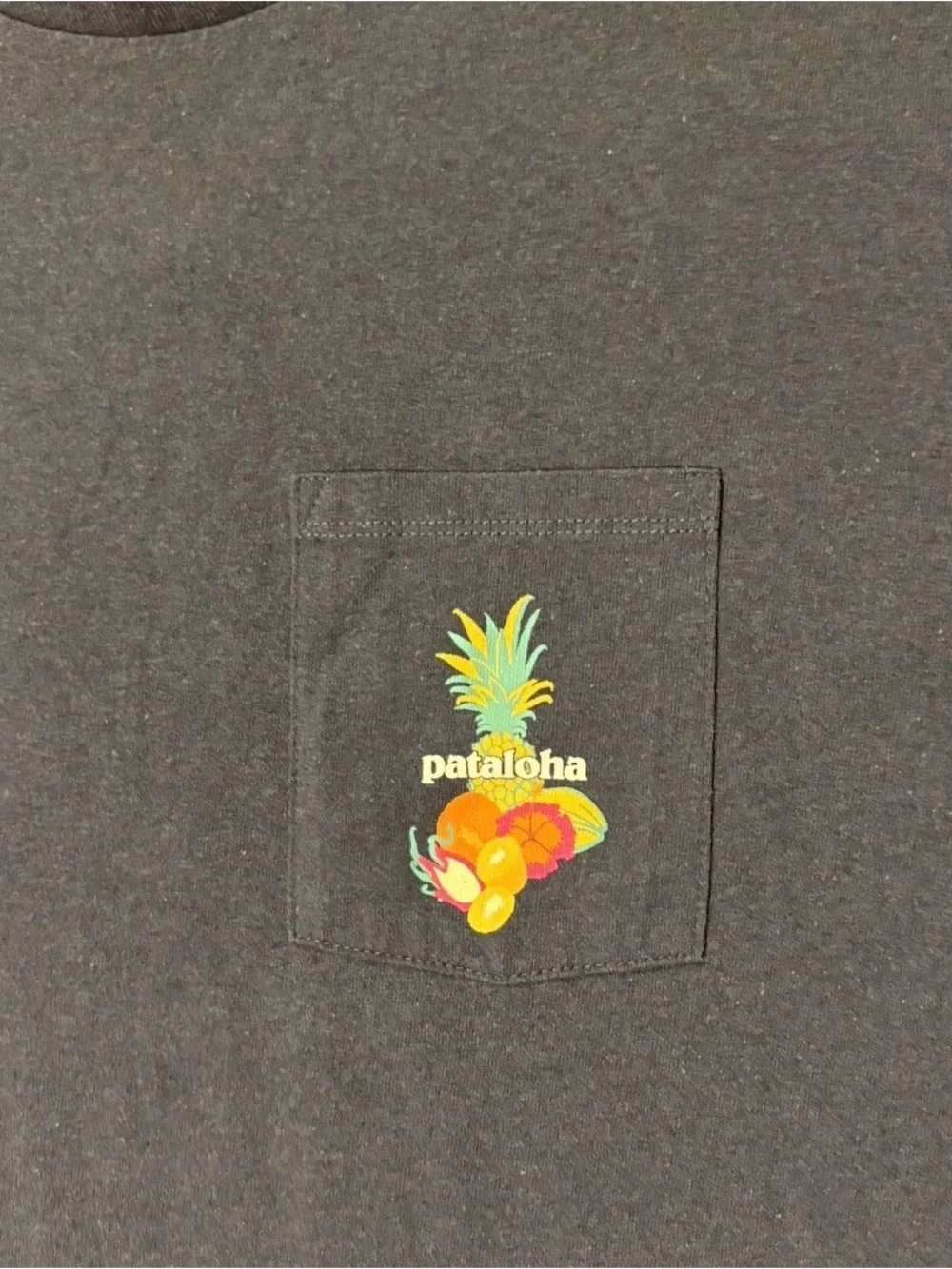Patagonia Pataloha T-Shirt Men Large Blue Ka Loa’a Pono Hawaii Health Harvest